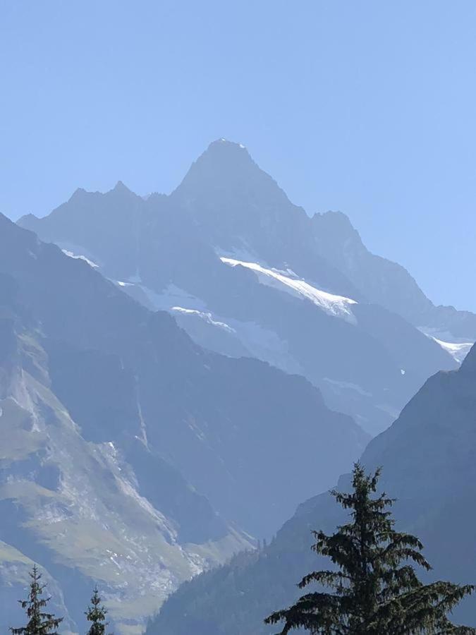 Romantisches Plaetzchen In Der Natur กรินเดลวัลด์ ภายนอก รูปภาพ