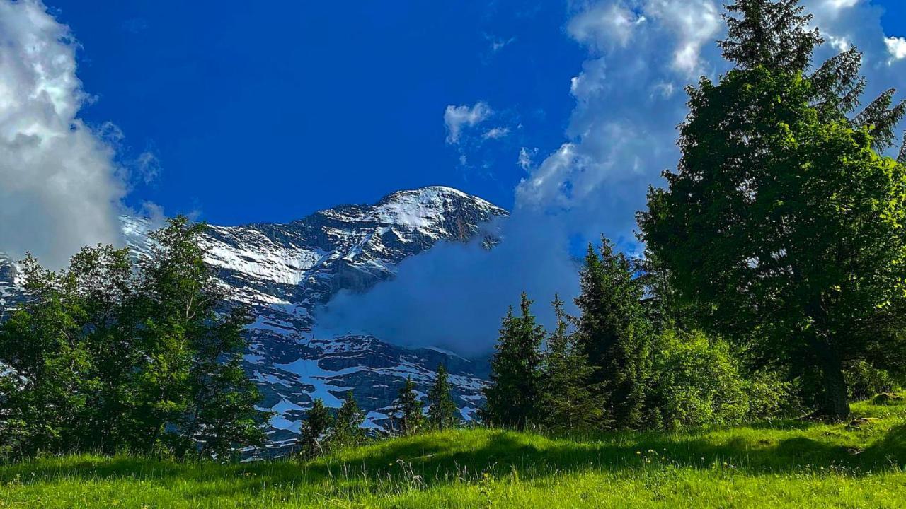 Romantisches Plaetzchen In Der Natur กรินเดลวัลด์ ภายนอก รูปภาพ