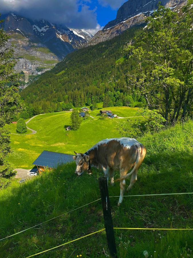 Romantisches Plaetzchen In Der Natur กรินเดลวัลด์ ภายนอก รูปภาพ