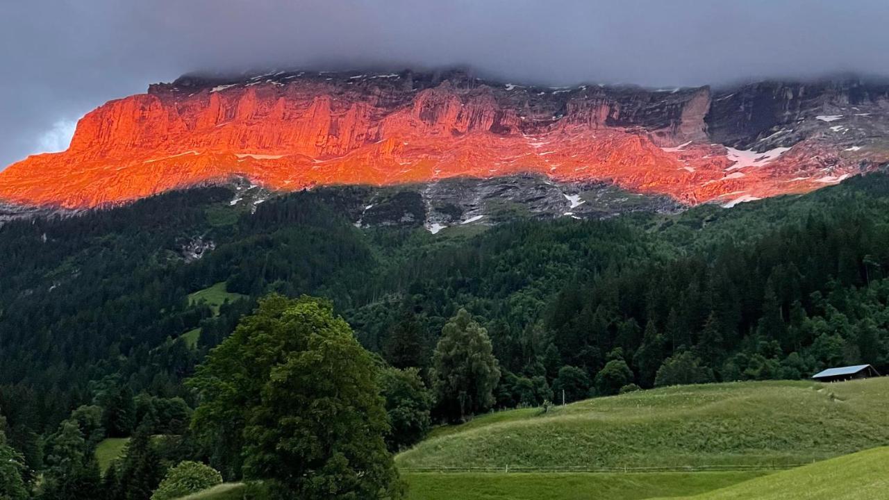 Romantisches Plaetzchen In Der Natur กรินเดลวัลด์ ภายนอก รูปภาพ