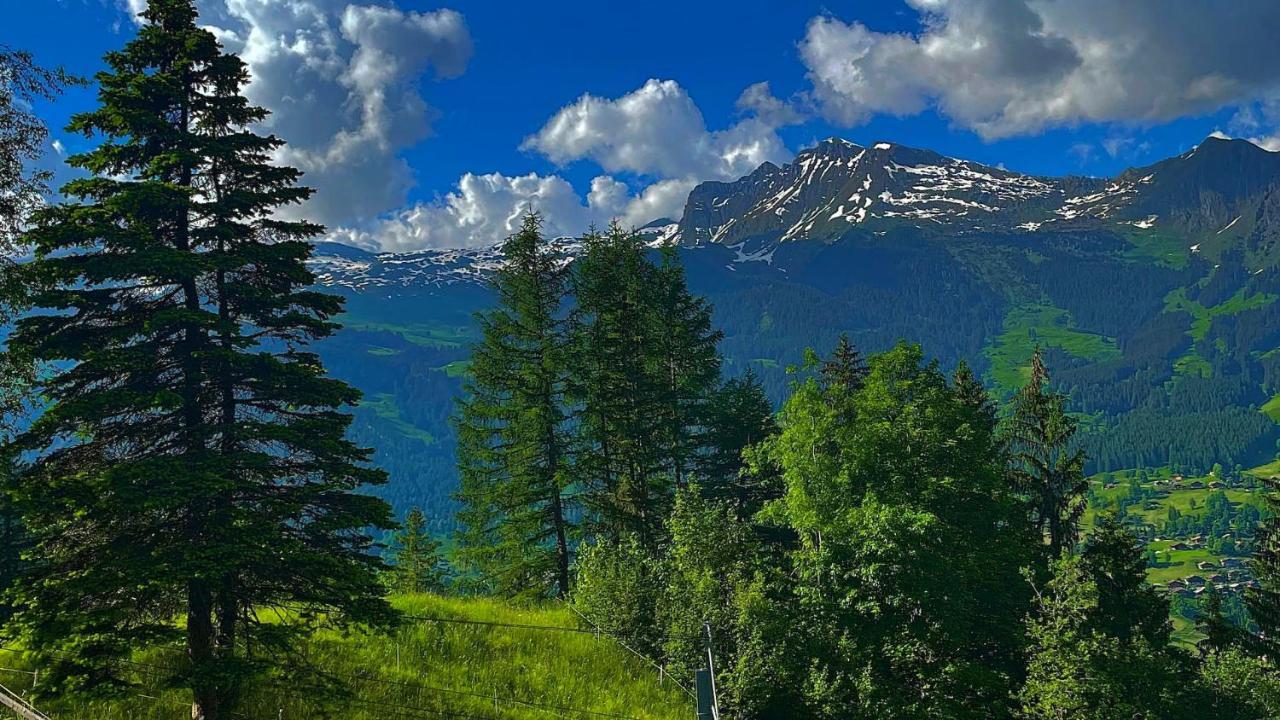 Romantisches Plaetzchen In Der Natur กรินเดลวัลด์ ภายนอก รูปภาพ